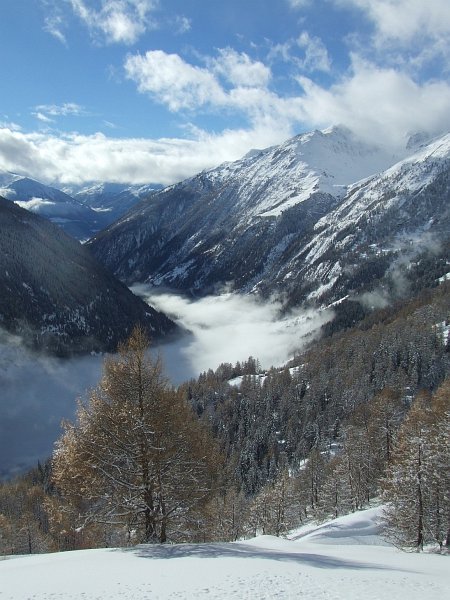 Talnebel