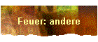Feuer: andere